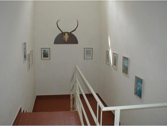 Restaurace A Pension Prvni Mlyn Chomutov Exterior foto