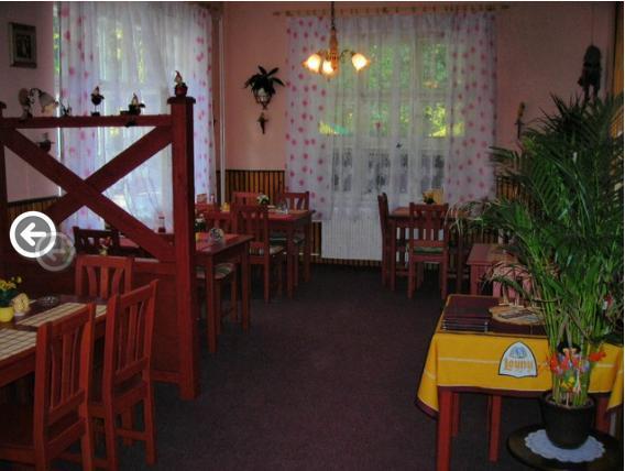 Restaurace A Pension Prvni Mlyn Chomutov Exterior foto